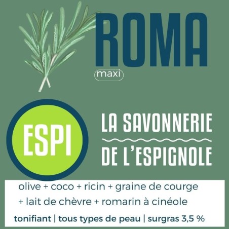 ESPI ROMA