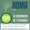 ESPI ROMA