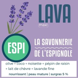 ESPI LAVA